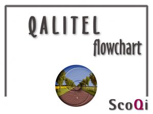 Upgrade QALITEL flowchart Fullweb online Pro Edition to  ProAd Edition