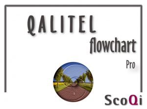 Read more about the article QALITEL flowchart – Pro Edition at the price of 49€