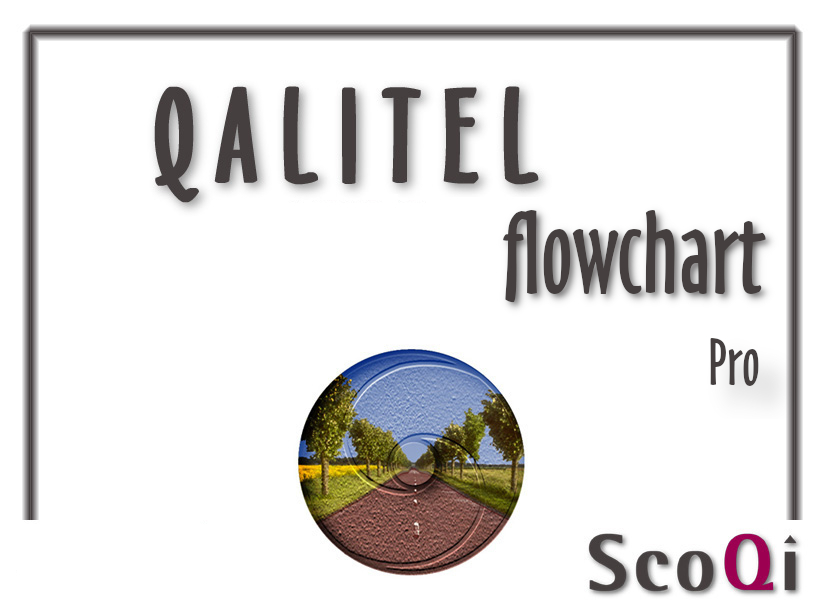 Read more about the article QALITEL flowchart – Pro Edition at the price of 49€