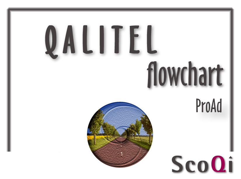 Read more about the article QALITEL flowchart – Proad edition at the price of 90€ or 5€/month