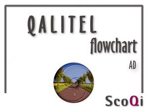 Read more about the article QALITEL flowchart – Standard Edition at the price of 9,98€